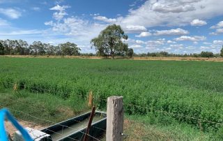 Agricultural Crops and Farming in Australia